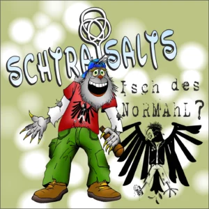 schtraisalts schwabenrock isch des normahl cover